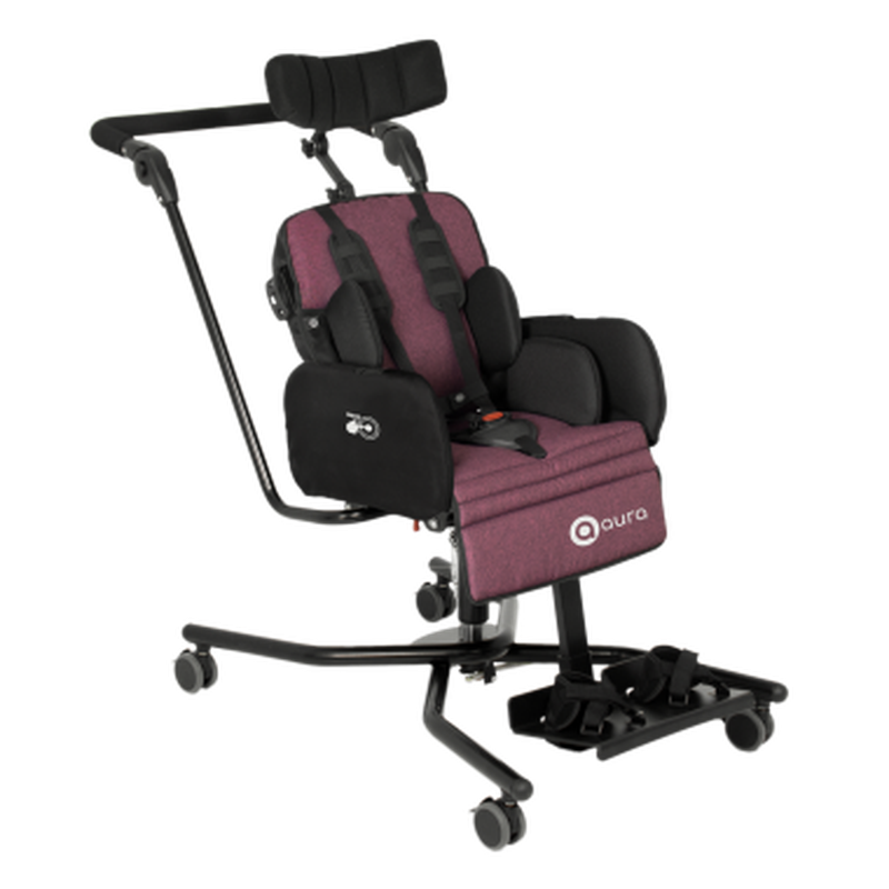 Кресло-коляска инвалидное Акцес-МЕД ГИППО АУРА (рама ХОУМ, короткая спинка)